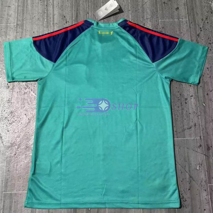 Camiseta De Portero España Verde 2010 Retro - Imagen 2